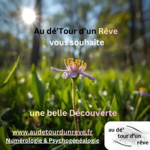 Fiche offerte La Vibration des Nombres